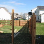 Privacy Fencing