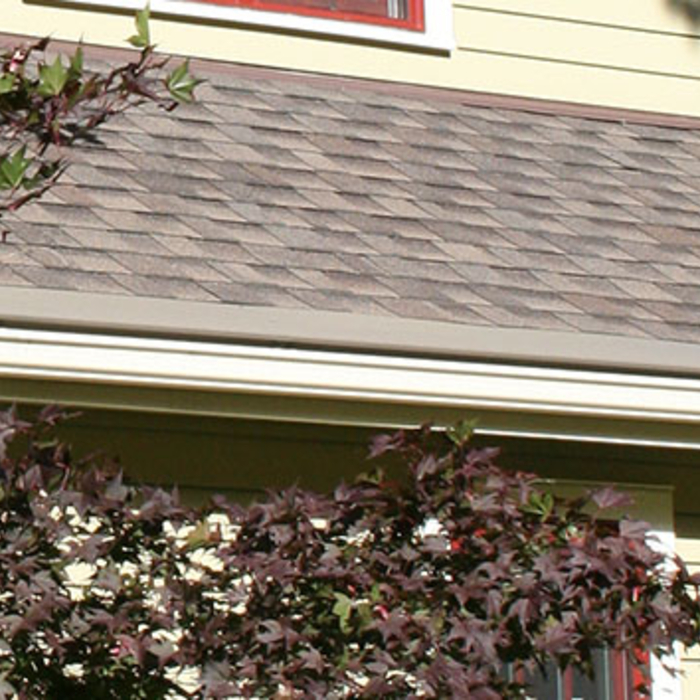 Gutter Helmet