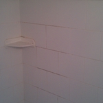 A before photo moldy bath/shower walls