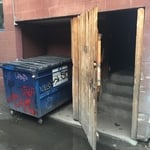 Before Dumpster