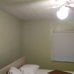 New Pale Sage Green Warmth