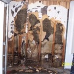 more tear out