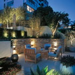 OUR WORK