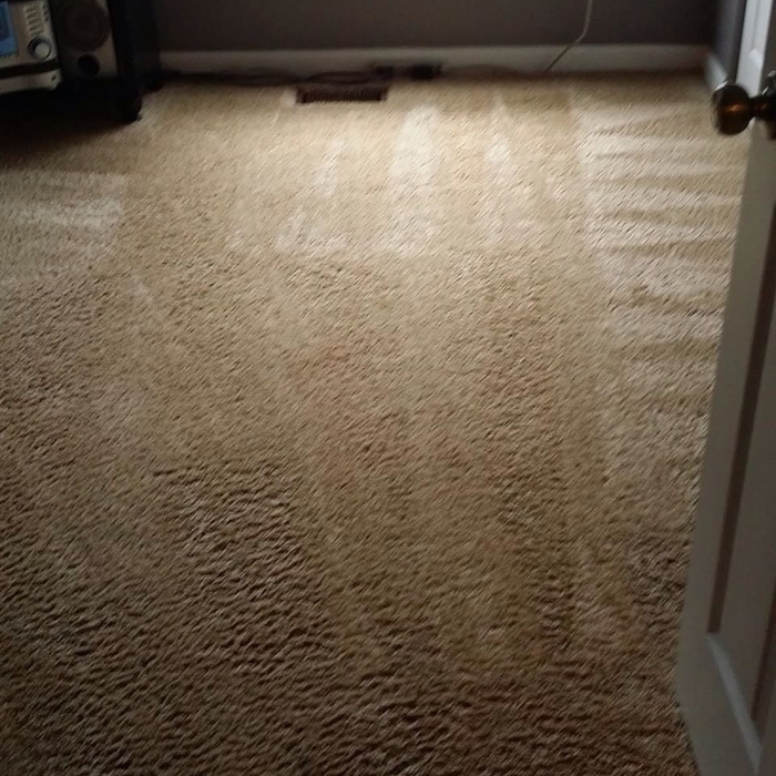 Carpet