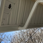 soffit and fascia install