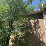 cleannig rain getters