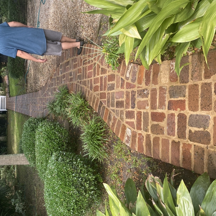 walkway cleaning