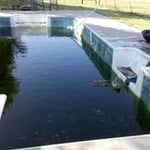 Inground, Opening, Drain and Clean