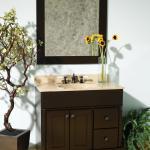 Transitional Bathroom - Tan Open Light Hardwood Flooring