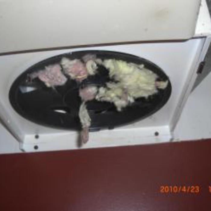 Rodents nest in oven fan