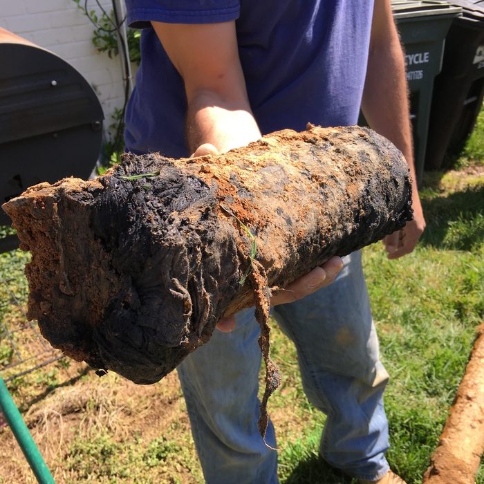 Broken Sewer pipe