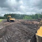 Honey Hill Clearing