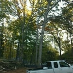 Getting ready to cut