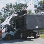 Removal of tree debris
