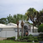 USA Tree Service LLC
