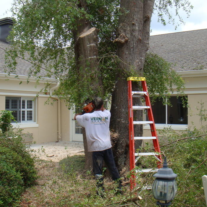 USA Tree Service LLC