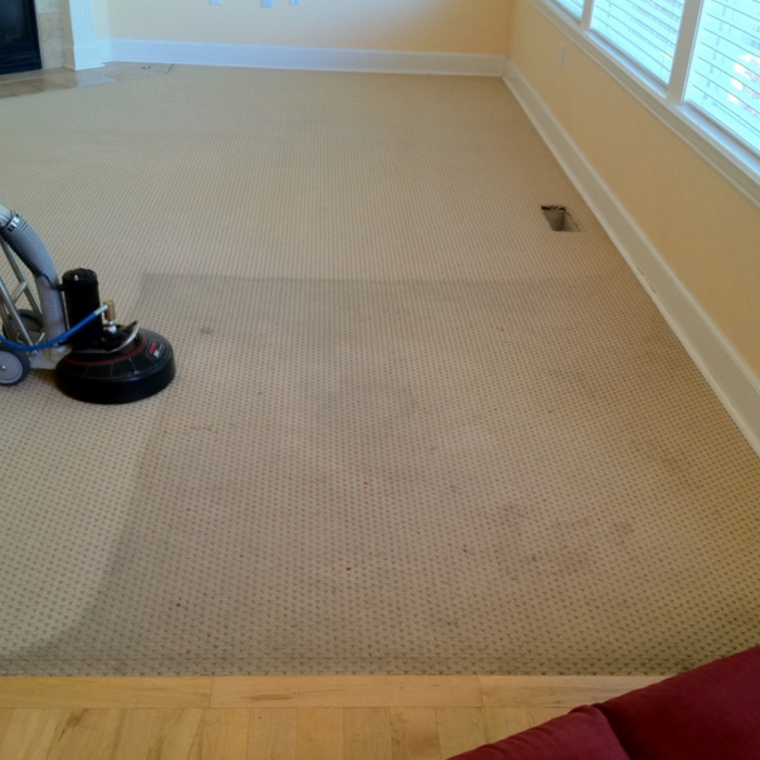 Carpet Cleaning
