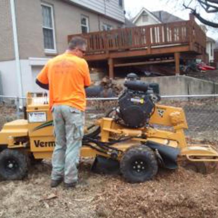 Stump grinding