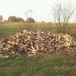 Firewood