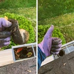 Missing Tennis balls?