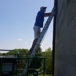 Live Bat Removal in High Places