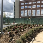 Flower bed almost finished