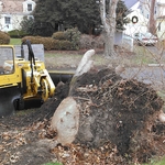 Storm damage