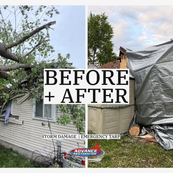 Emergency Tarp