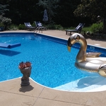Weekly pool clean