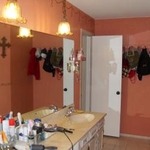 Bathroom Before 1