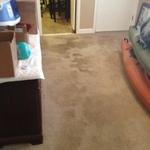 Carpet Cleaning Before