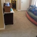 Carpet Cleaning After