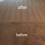 carpet cleaning