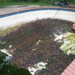 Pools Pools & more Pools!