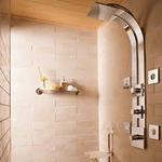 ceramic master walk-in shower