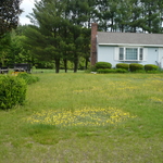 Yard before