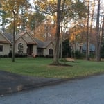 Leaf Removal After