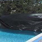 Pool Opening