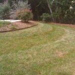 mowing