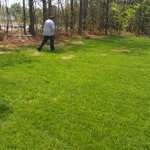 re seeding