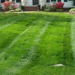 mowing