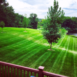 Our Work