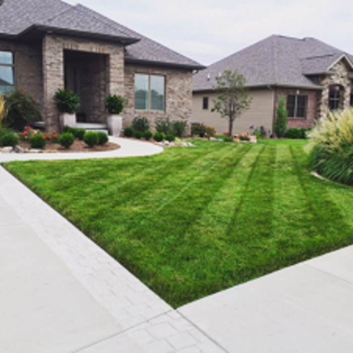 Our Work