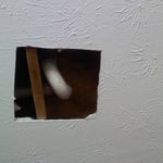 Below master bath shower(D/R Ceiling) Before