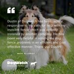 DogWatch Review