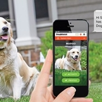 Only in-ground Smart Fence on the Market