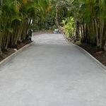 Concrete Driveway