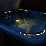 Hottub Repair