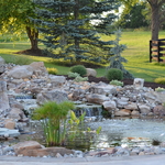 Pond
