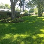 Lawns by EcoFloridian